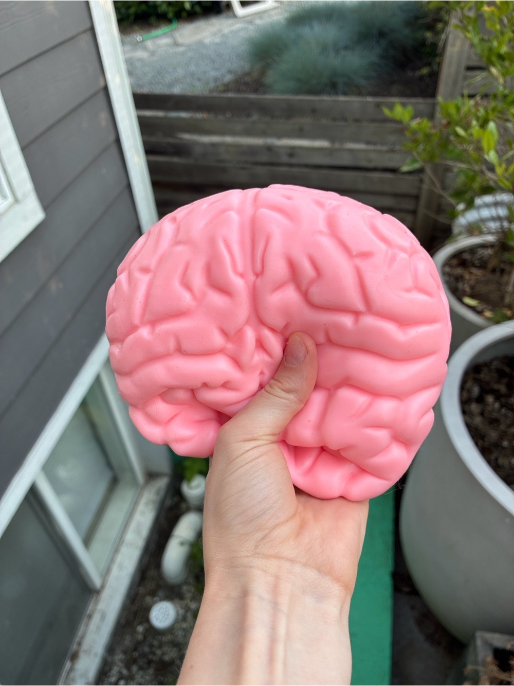 Pink Brain Squeeze Toy - Kids Stress Relief Play Toy